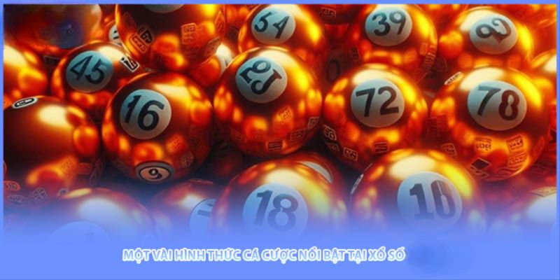 Các sản phẩm cược hàng đầu cho tân binh tham gia